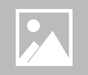 开云网页版-破局与争议，Scout新规下公牛的十字路口，公牛队的十字路口，Scout新规带来的破局与争议